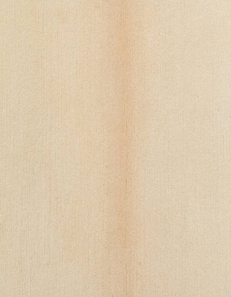 Detail image of 3' x 4' 10  Hand Knotted Darya Wool Rug