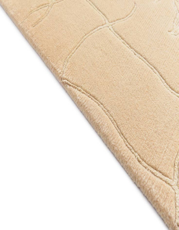 Detail image of 4' 9 x 6' 7  Hand Knotted Darya Wool Rug