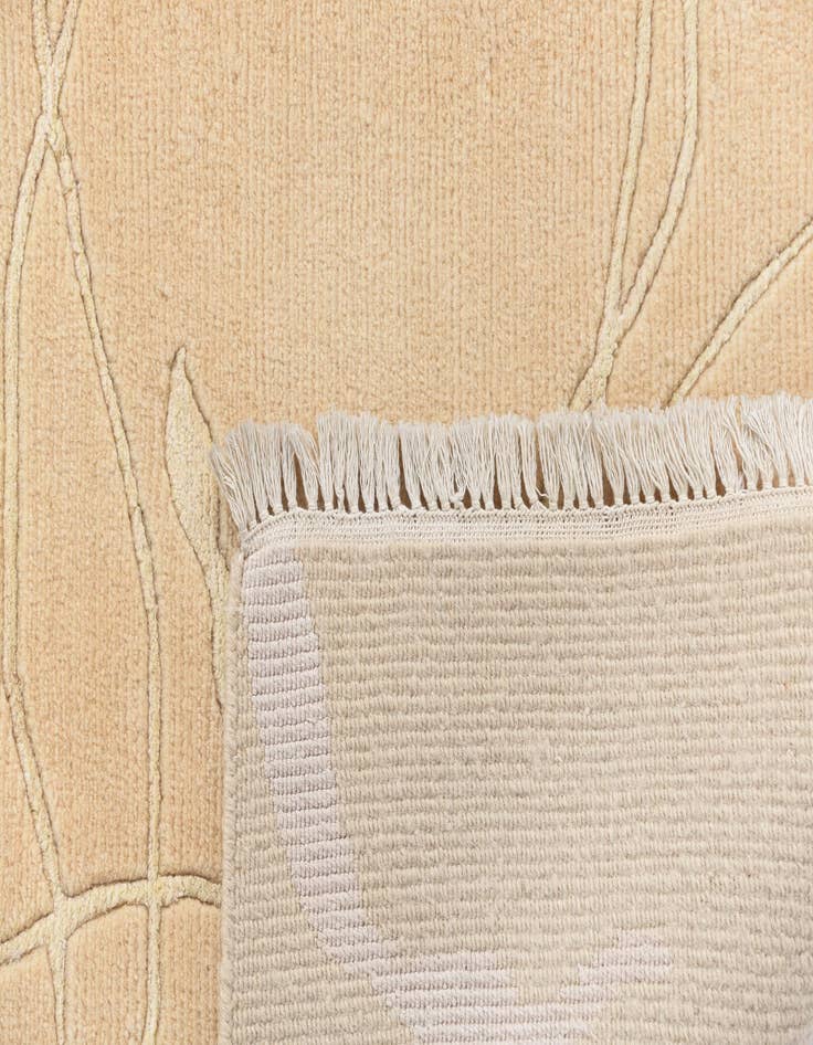 Detail image of 4' 9 x 6' 7  Hand Knotted Darya Wool Rug