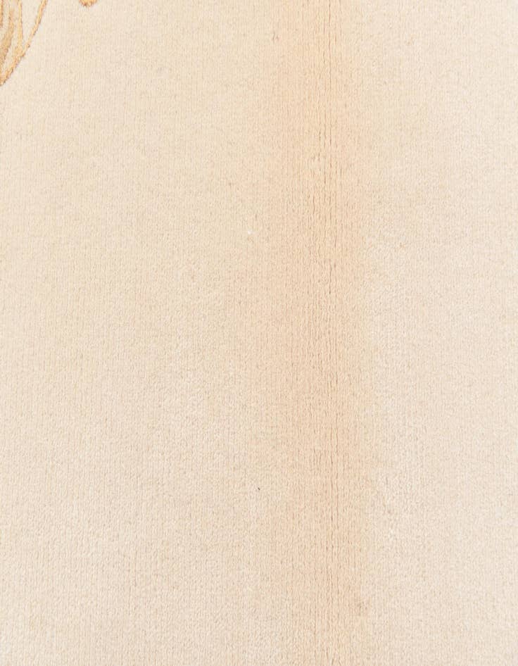 Detail image of 2' 8 x 4' 6  Hand Knotted Darya Wool Rug