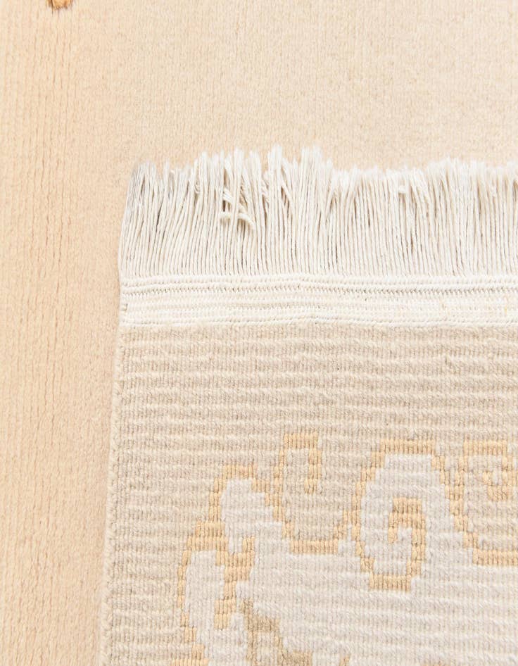 Detail image of 2' 8 x 4' 6  Hand Knotted Darya Wool Rug