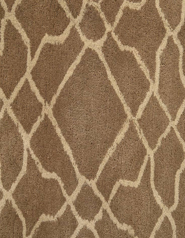 Detail image of 5' x 7' 11 Luna Wool Rug