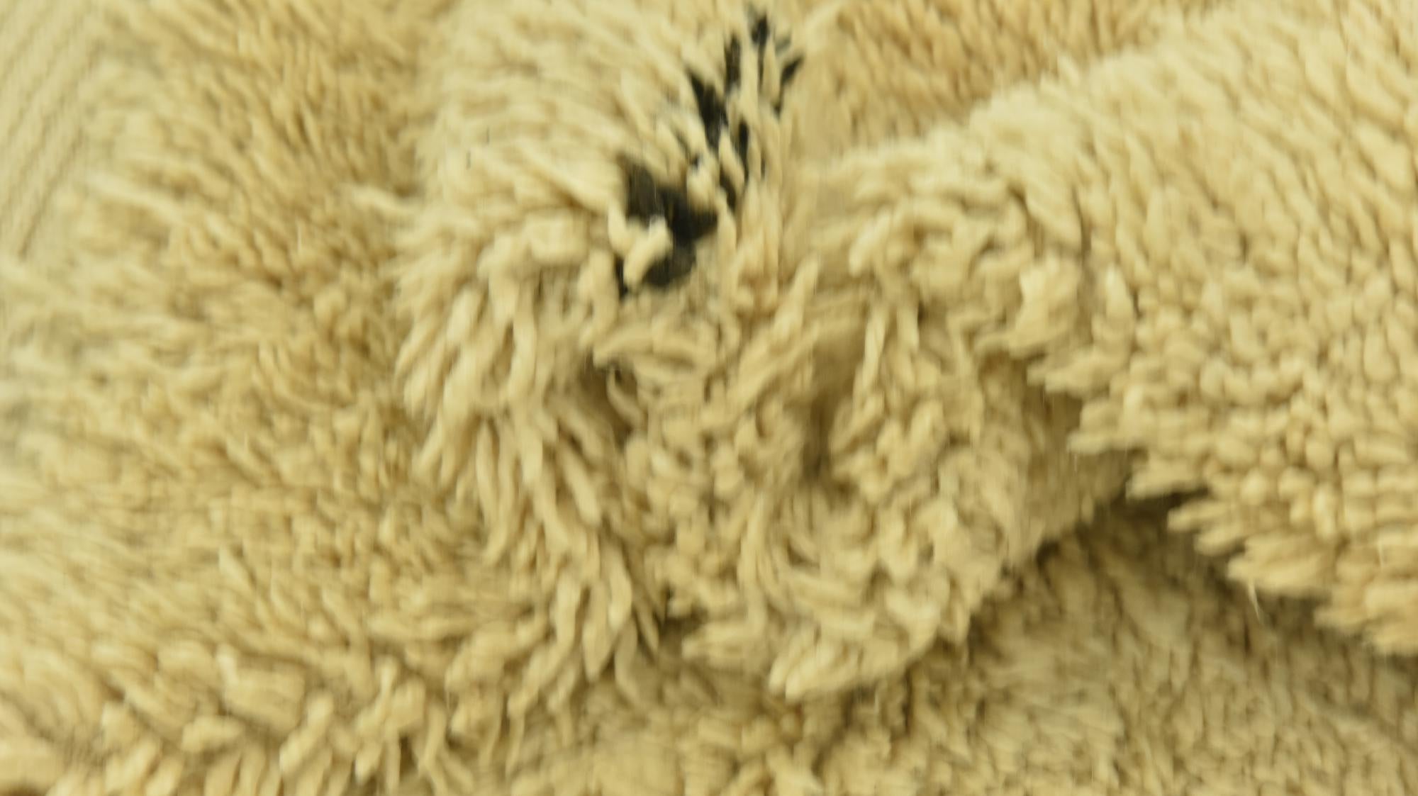 6' 2 x 9' 10 Hand Knotted Moroccan Wool Rug