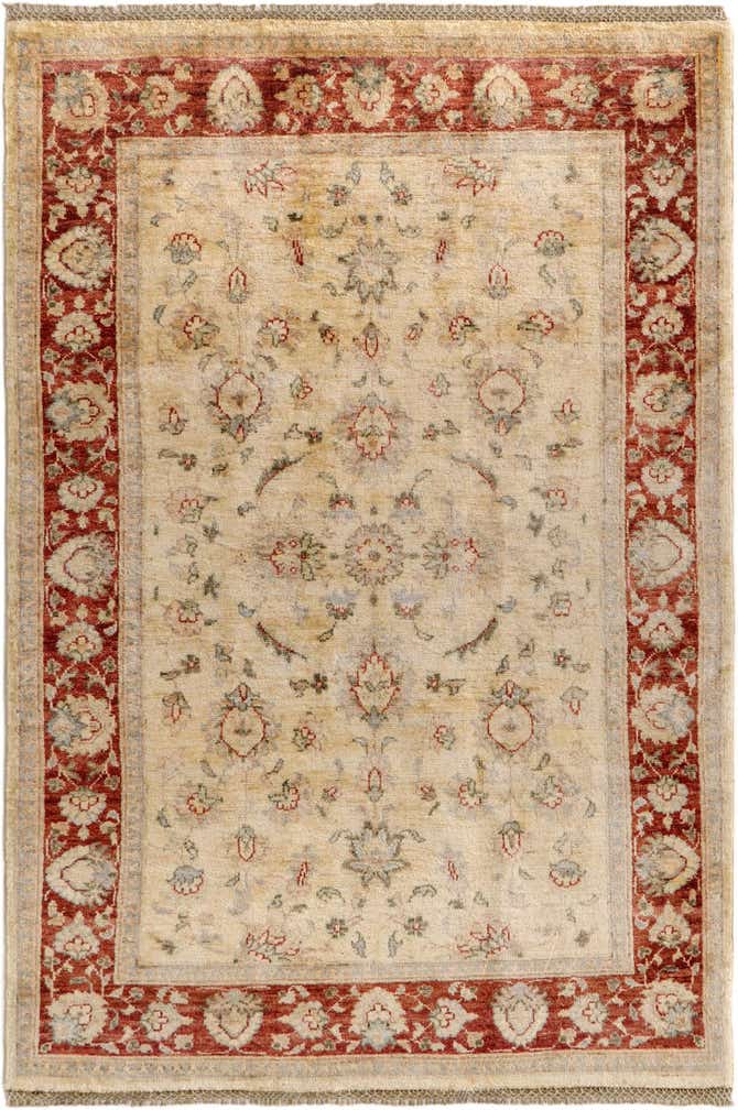 4' 1 x 6' 1 Hand Knotted Pershawar Ziegler Rug
