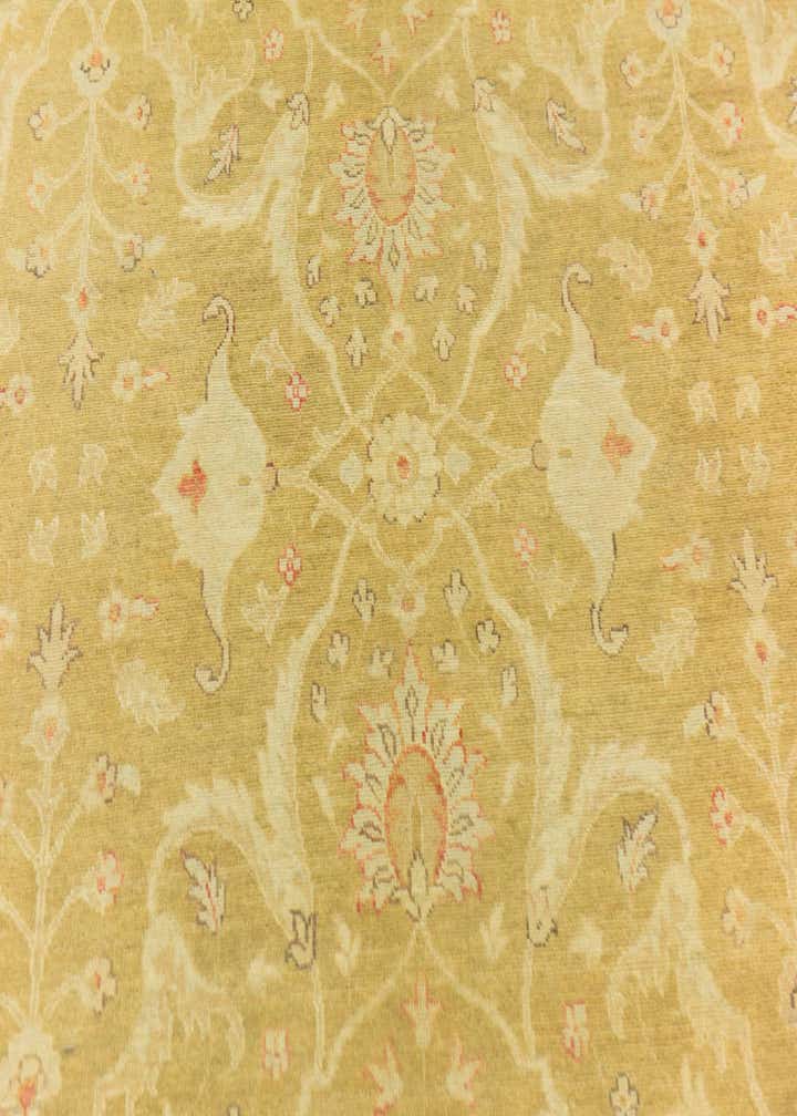 6' x 9' 4 Hand Knotted Peshawar Ziegler Rug