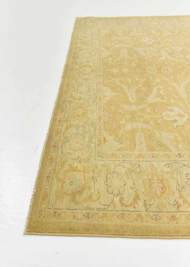 6' x 9' 4 Hand Knotted Peshawar Ziegler Rug