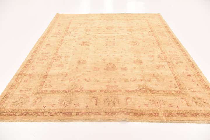 8' 2 x 9' 7 Hand Knotted Peshawar Ziegler Rug