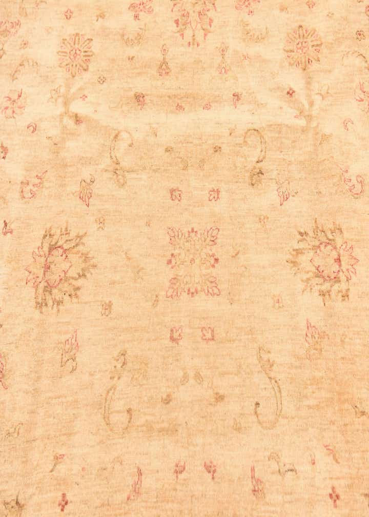 8' 2 x 9' 7 Hand Knotted Peshawar Ziegler Rug