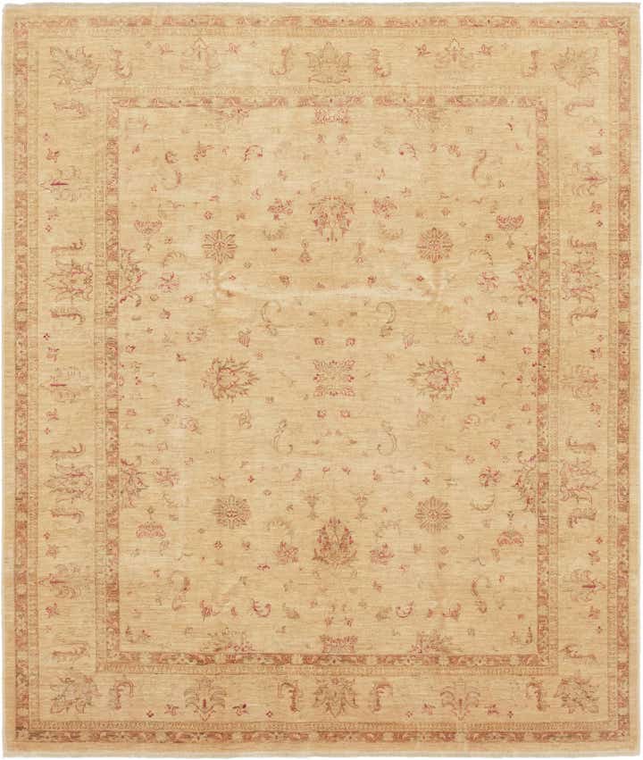 8' 2 x 9' 7 Hand Knotted Peshawar Ziegler Rug