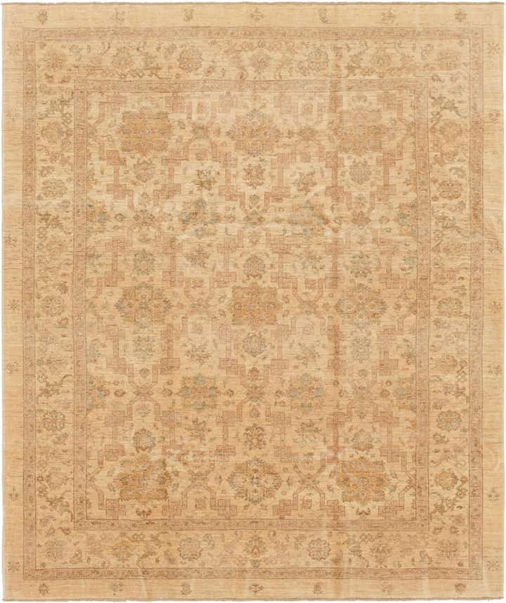 8' 2 x 9' 7 Hand Knotted Peshawar Ziegler Rug