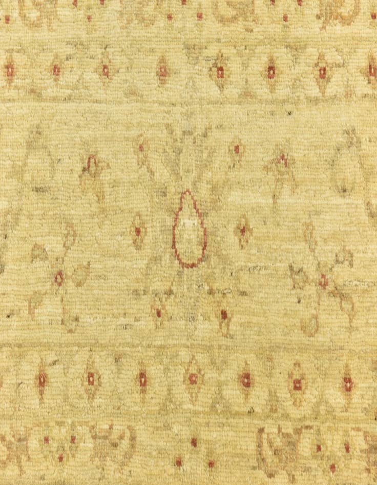 Detail image of 7' 1 x 10'  Hand Knotted Peshawar Ziegler Rug