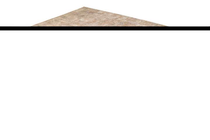 8' 10 x 12' 7 Hand Knotted Ultra Vintage Persian Wool Rug