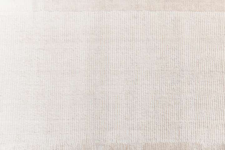 2' 11 x 9' 8 Hand Knotted Darya Wool Runner Rug