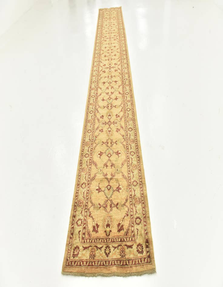 Detail image of 2' 9 x 17' Hand Knotted Peshawar Ziegler Runner Rug