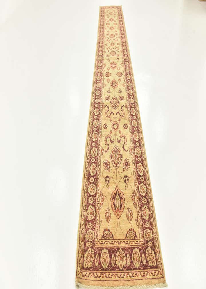 2' 10 x 17' 4 Hand Knotted Peshawar Ziegler Runner Rug