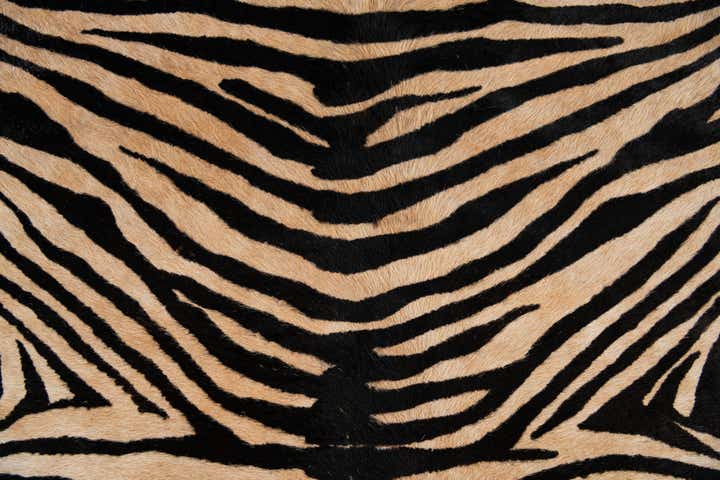 6' 6 x 7' Cowhide Leather Freeform Rug