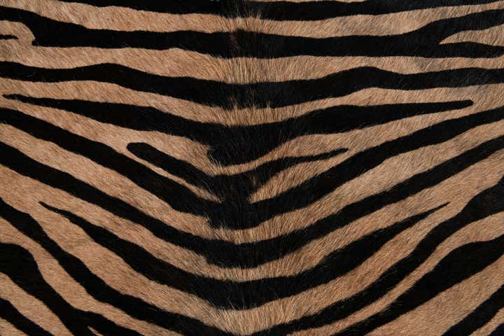 6' 3 x 7' Cowhide Leather Freeform Rug