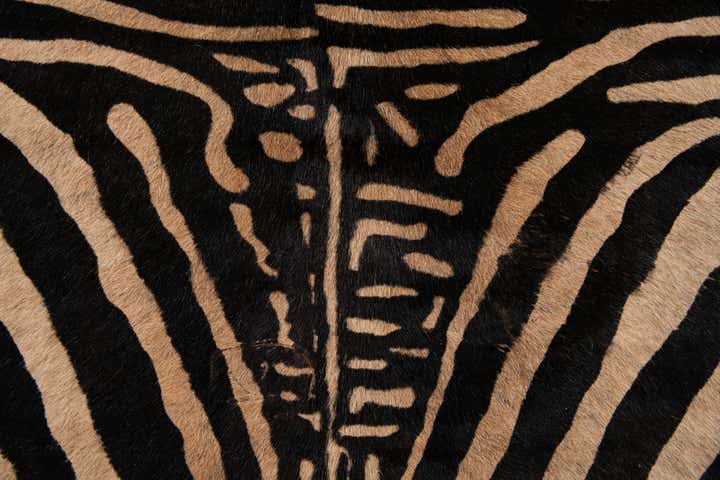 6' 3 x 7' Cowhide Leather Freeform Rug