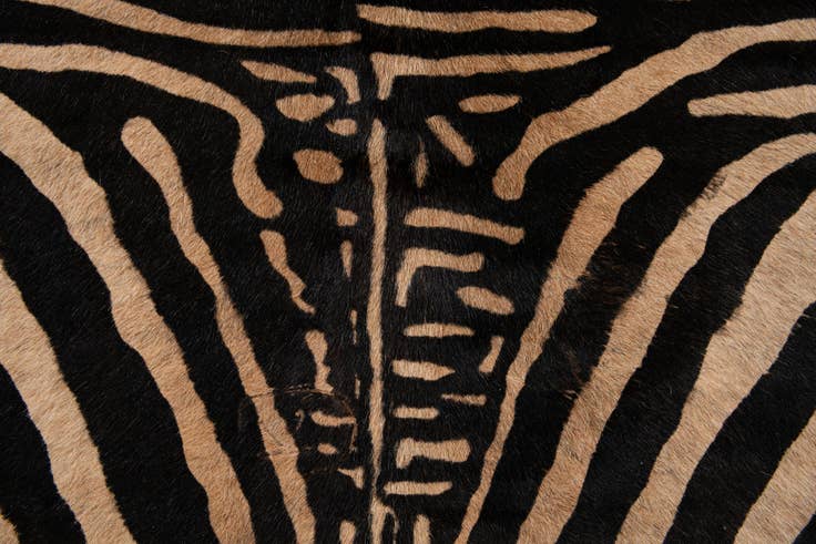 Detail image of 6' 3 x 7' Cowhide Leather Freeform Rug
