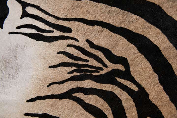 6' 3 x 7' Cowhide Leather Freeform Rug