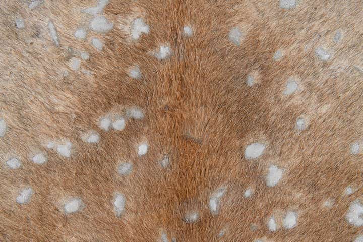 6' 6 x 7' Cowhide Leather Freeform Rug
