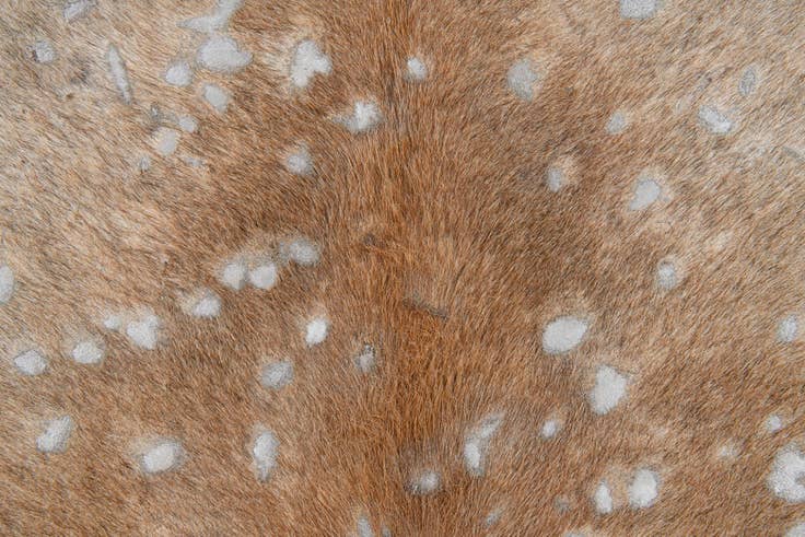 Detail image of 6' 6 x 7' Cowhide Leather Freeform Rug