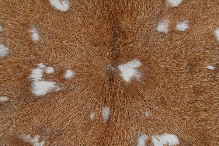 6' 6 x 7' Cowhide Leather Freeform Rug
