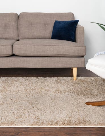  8' x 11' Everyday Shag Rug