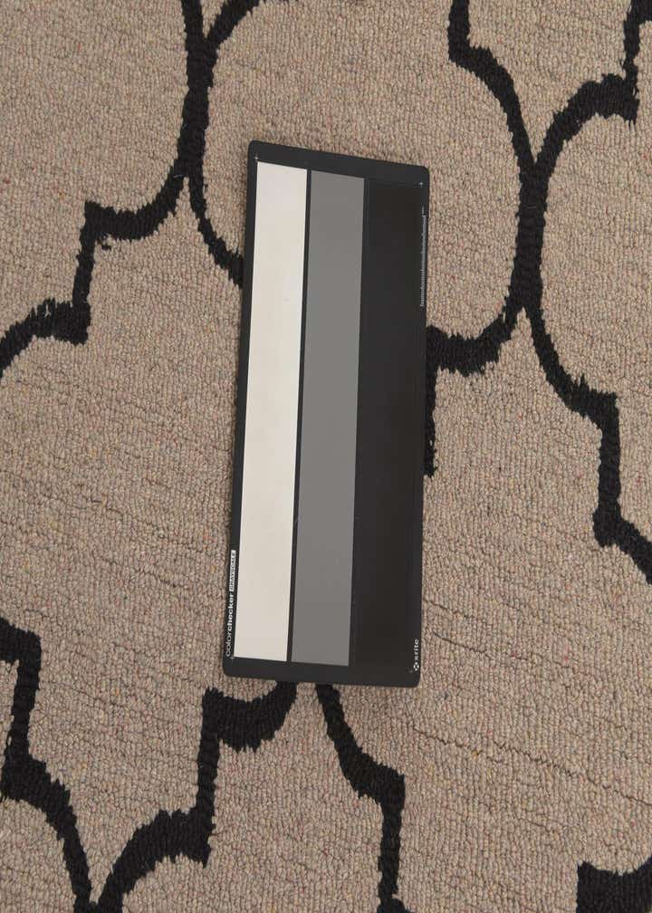 5' 1 x 8' Luna Wool Rug