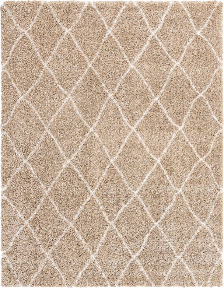 Detail image of 8' x 10' Marrakesh Shag Rug