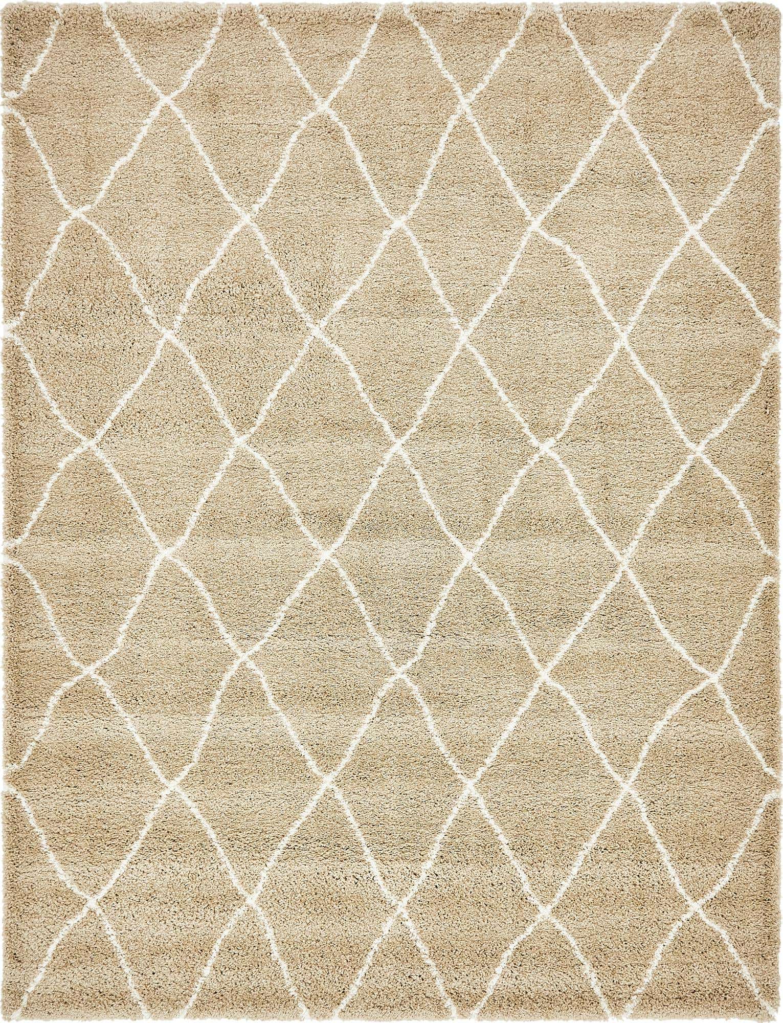 9' x 12' 2 Marrakesh Shag Rug