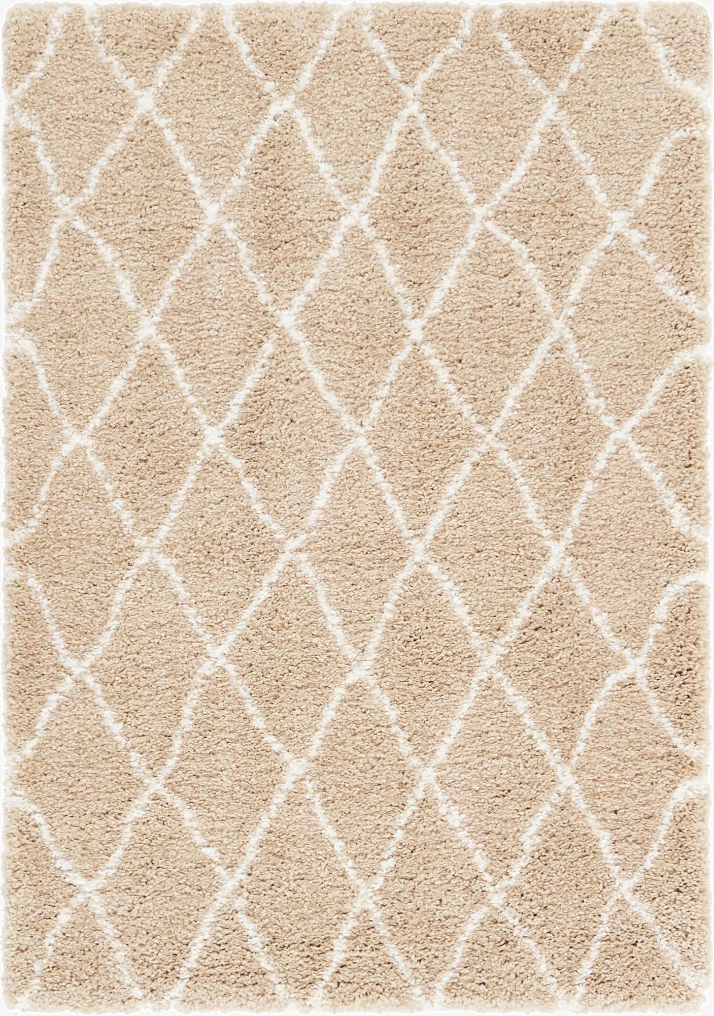 4' x 6' Marrakesh Shag Rug