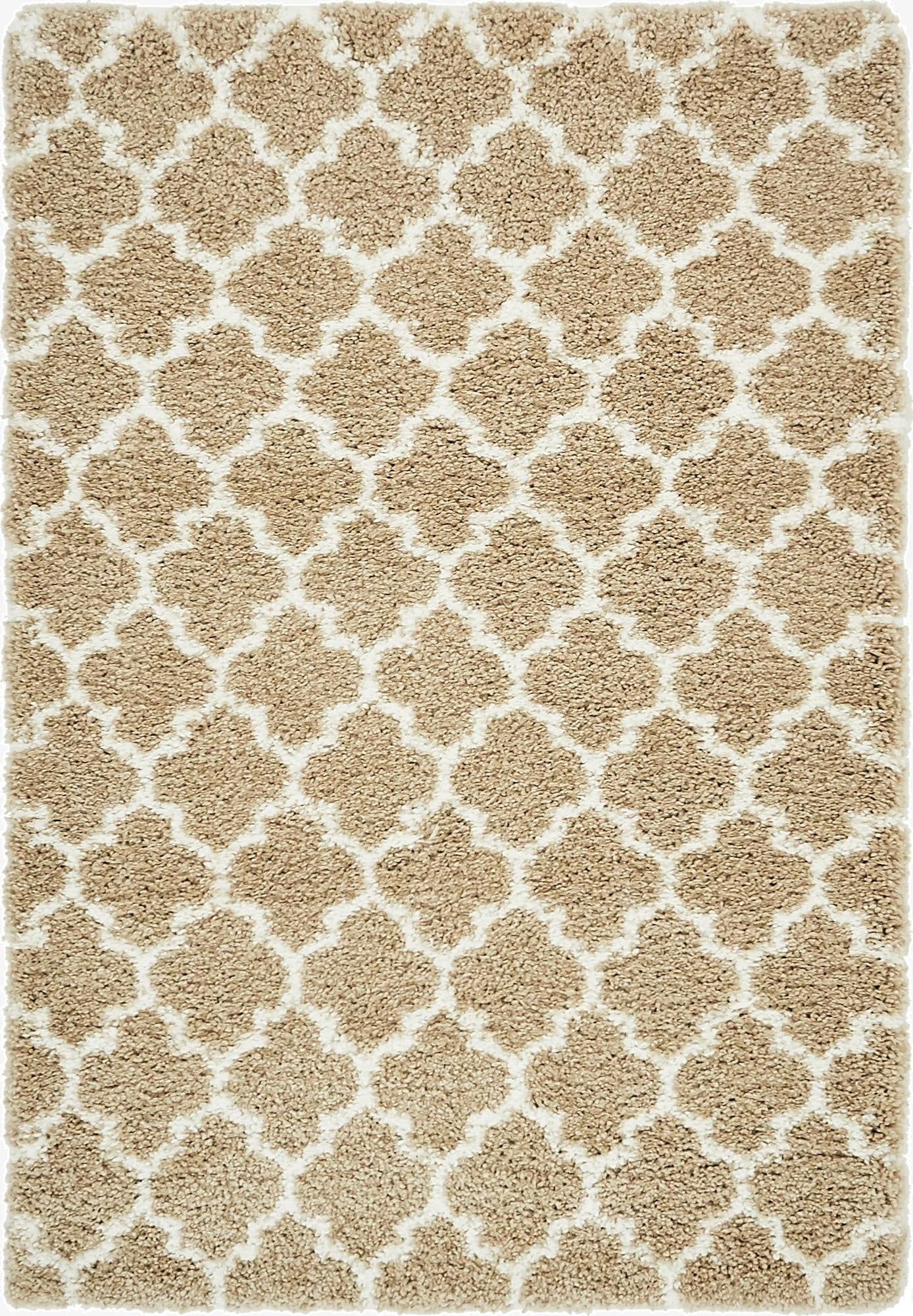 Primary image 4' x 6' Marrakesh Shag Rug