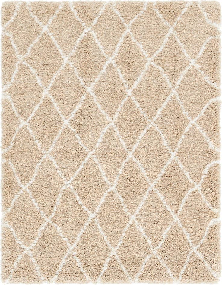 Detail image of 4' x 6' Moroccan Shag Rug