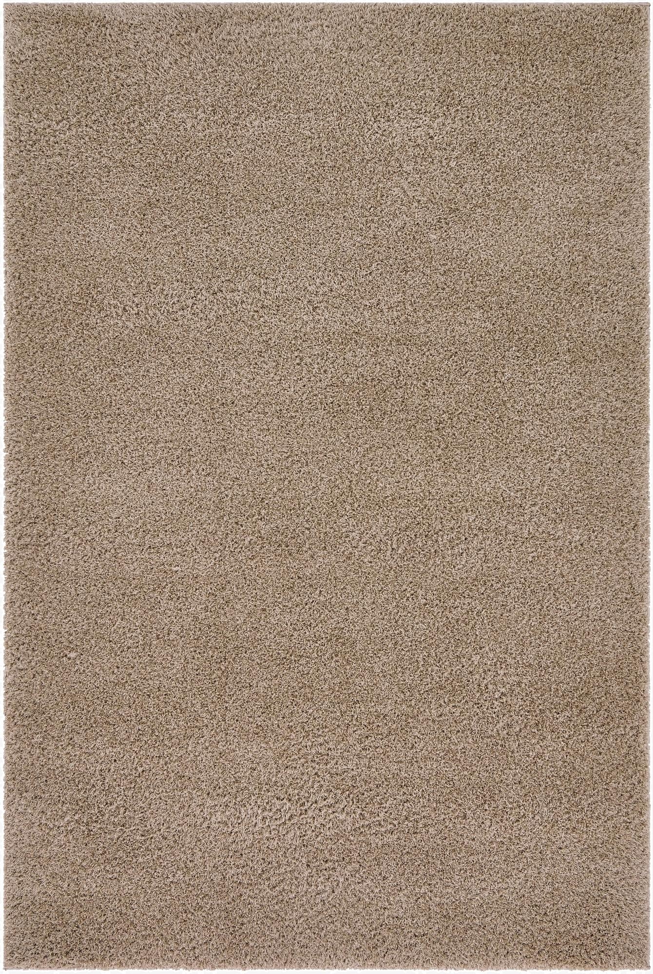 Primary image 4' x 6' Studio Solid Shag Rug