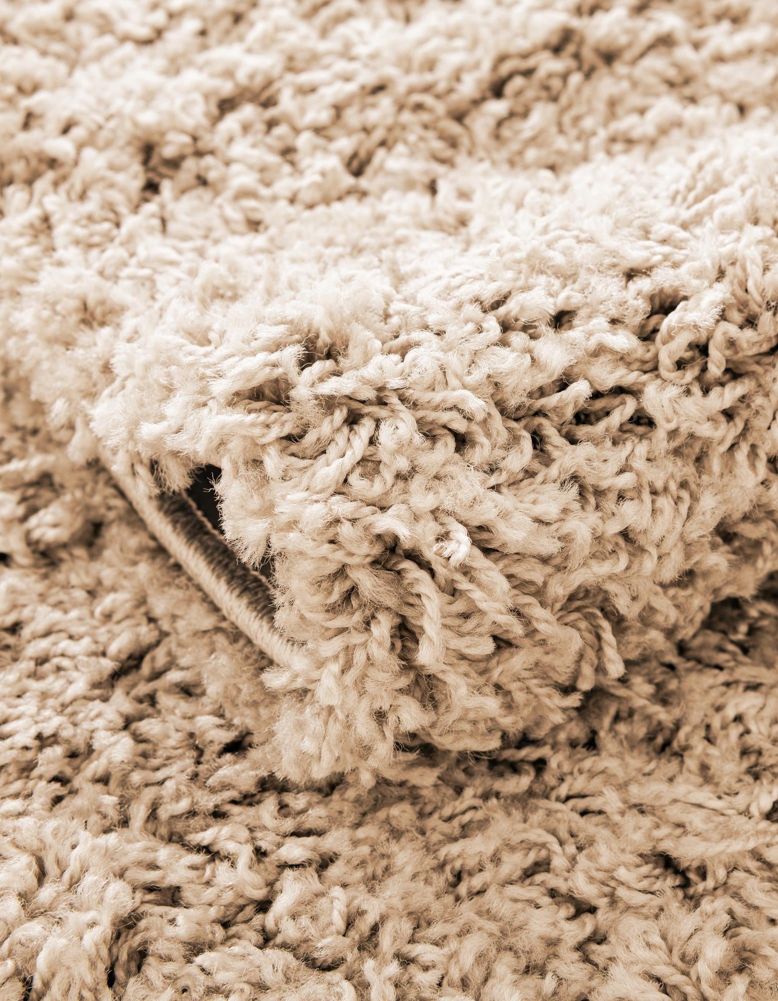 2' 2 x 6' 7 Everyday Shag Runner Rug
