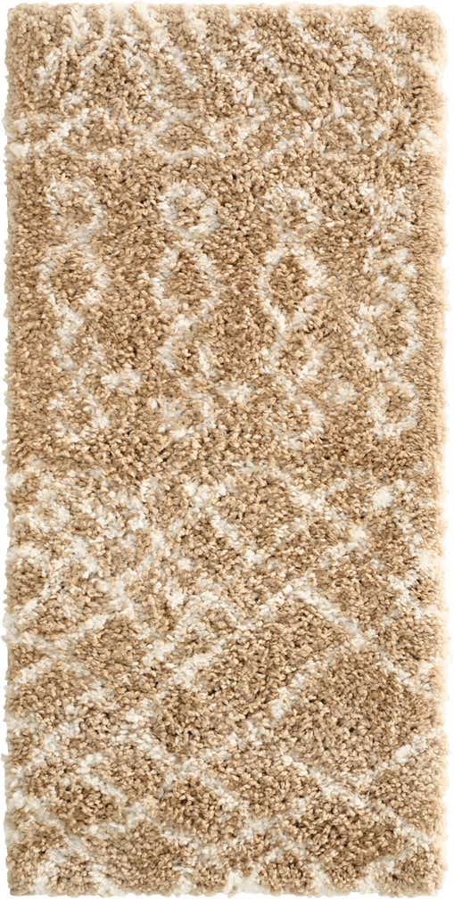 2' x 4' Moroccan Shag Runner Rug