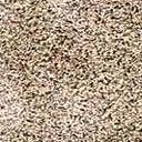 Rug Taupe Swatch link