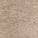 Rug Taupe Swatch link