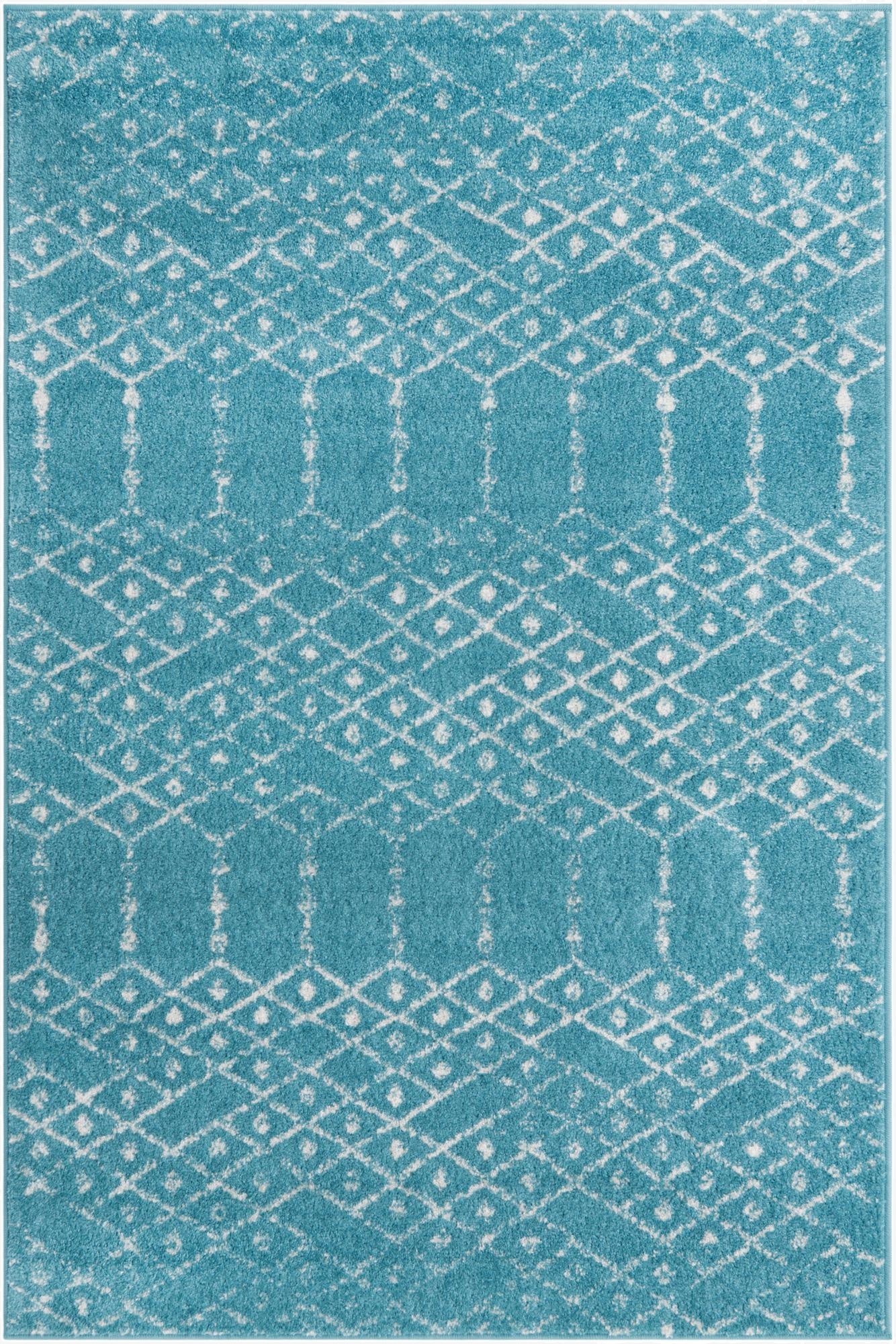 Primary image 4' x 6' Paxon Trellis Rug