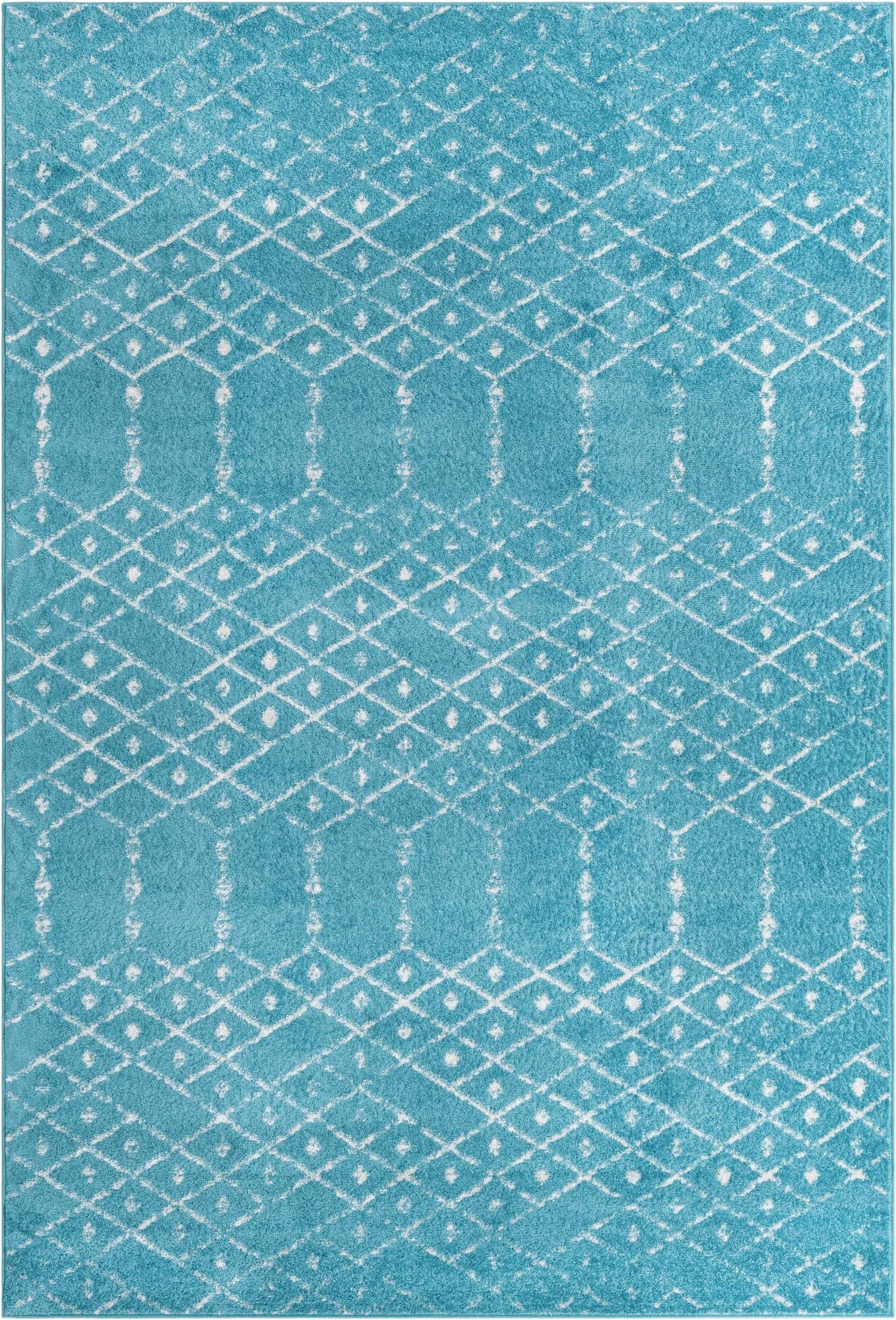 6' x 9' Paxon Trellis Rug