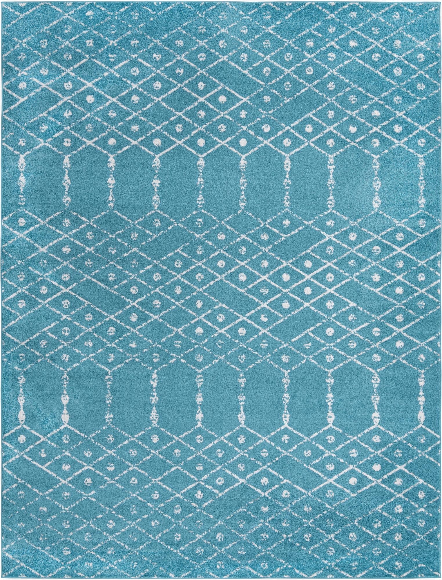 10' x 13' Paxon Trellis Rug