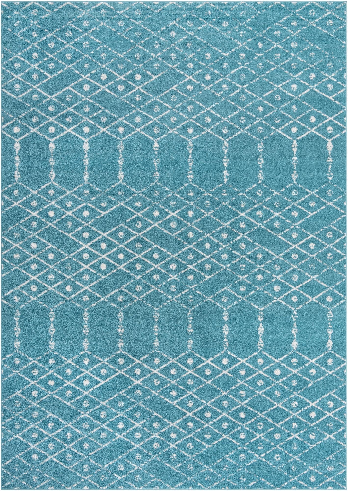 Primary image 10' x 14' Paxon Trellis Rug
