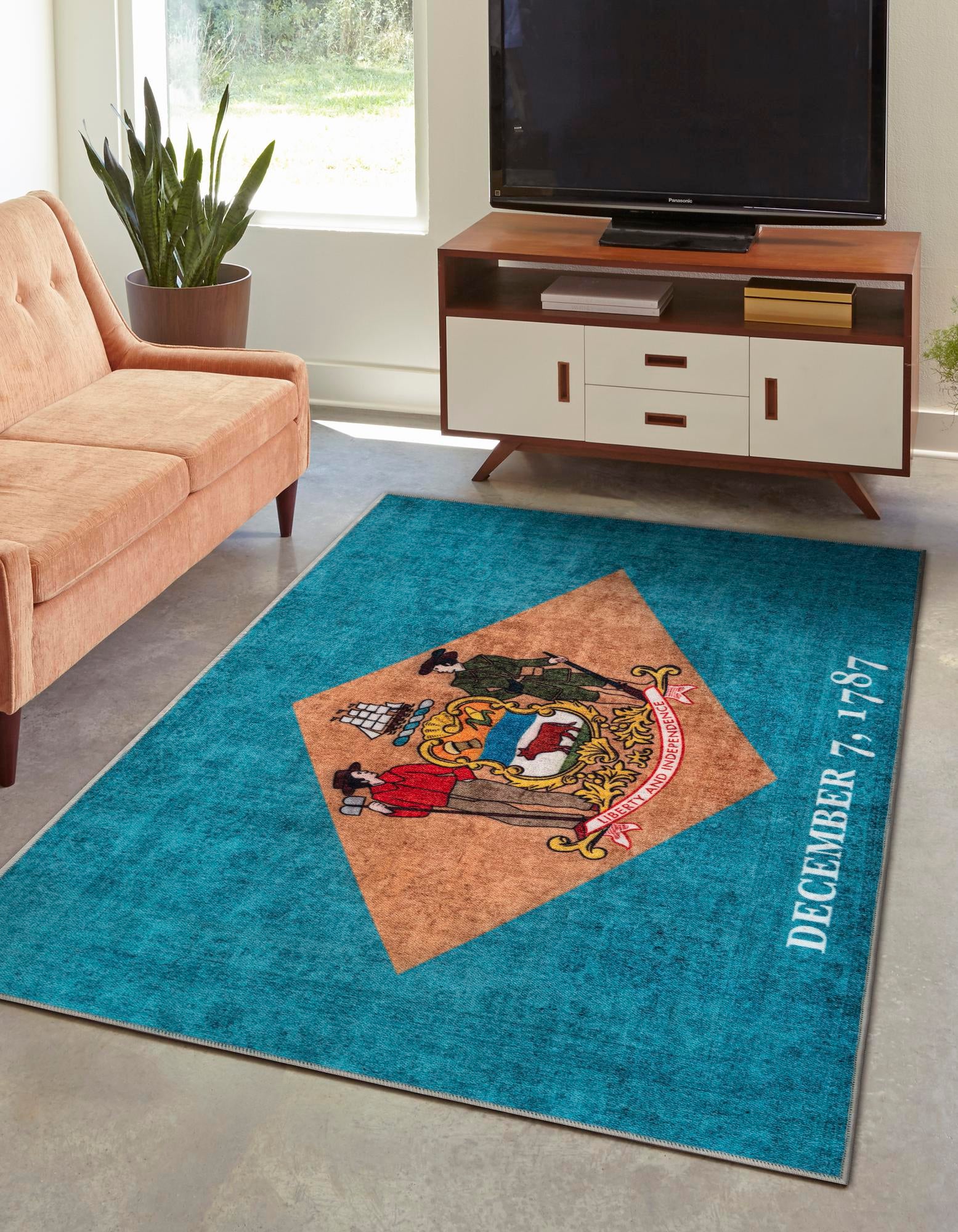4' x 6' Delaware The Flag Collection Rug