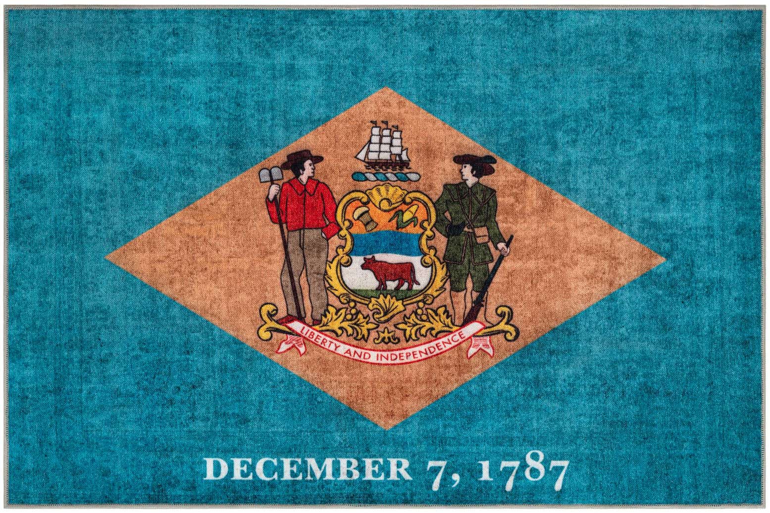 5' x 8' Delaware The Flag Collection Rug