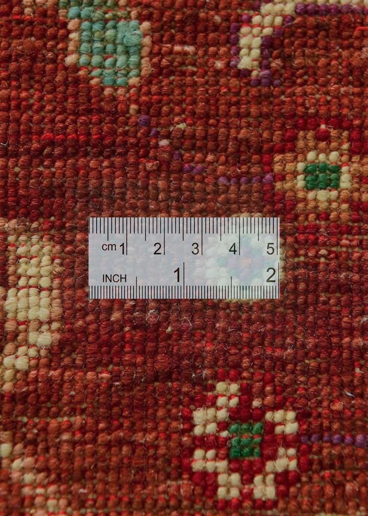 4' 3 x 6' Hand Knotted Ariana Ziegler Rug