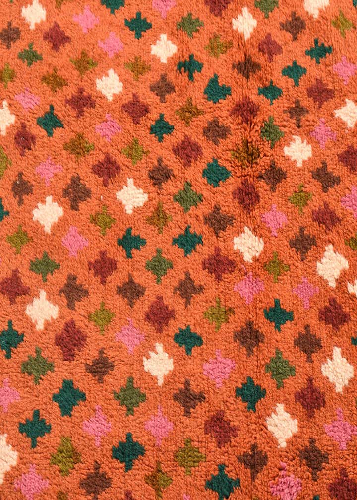 6' 2 x 8' 4 Hand Knotted Balouch Wool Rug