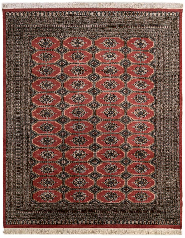 Detail image of 8' 2 x 10' 8 Hand Knotted Bokhara Oriental Wool Rug
