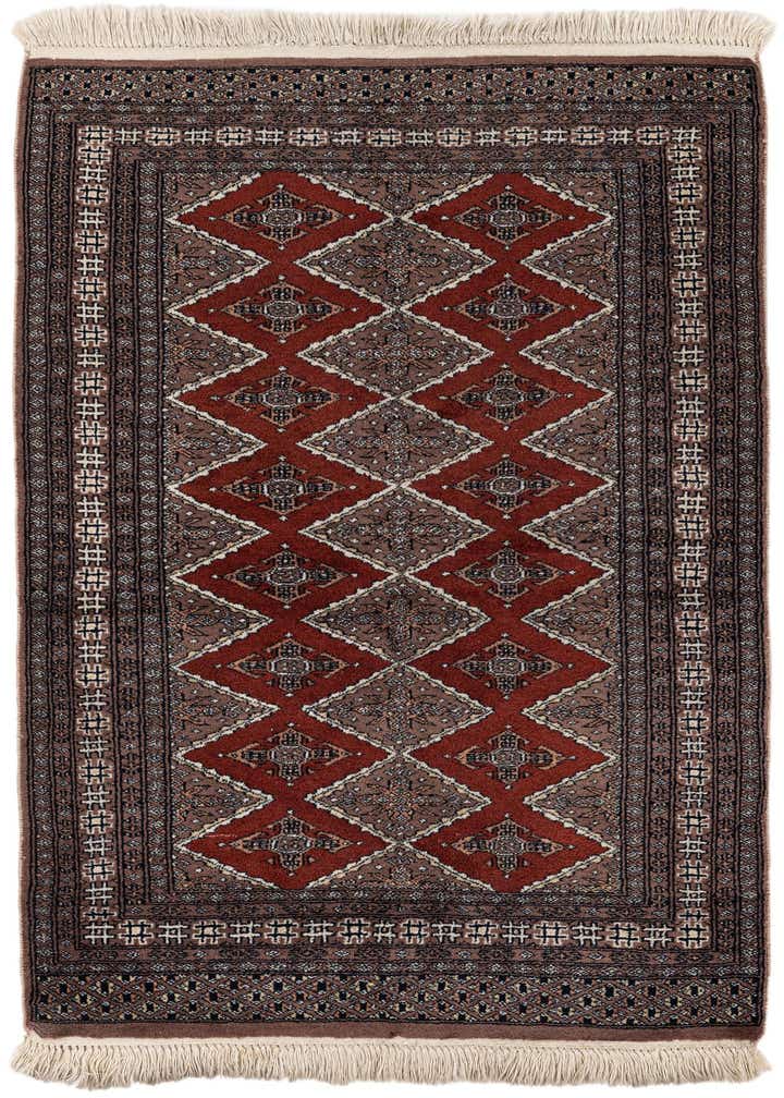 3' 1 x 4' 9 Hand Knotted Bokhara Oriental Wool Rug