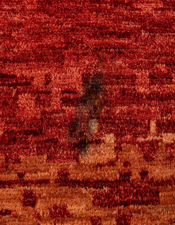 Detail image of 10' 3 x 13' 8  Hand Knotted Darya Rug